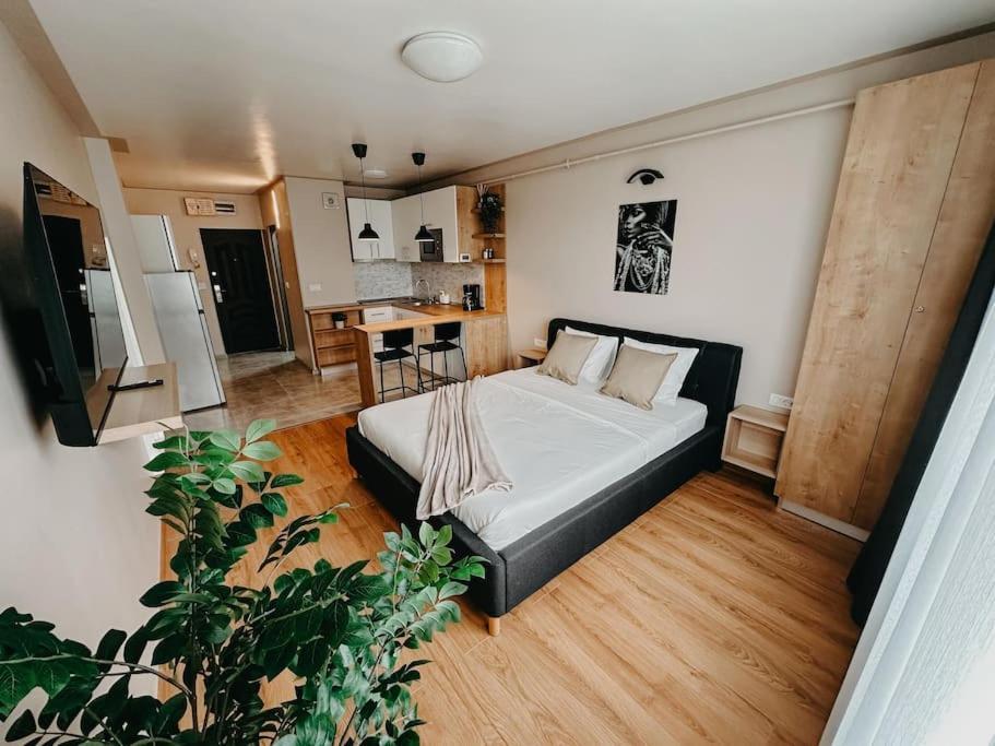 Ferienwohnung Agoll Victoria - Self Checkin Resita Exterior foto